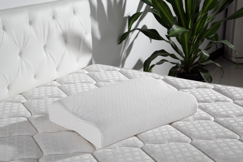 Rayson Mattress-Find Latex Memory Foam Pillow | Latex Pillow Sale-2