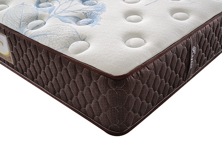Rayson Mattress-Bed mattress china mattress factory tight top mattress-3