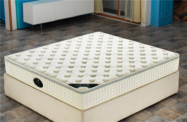 Rayson Mattress Factory Price Royal Pocket Spring Competitive Price Comfort Mattress Other image32