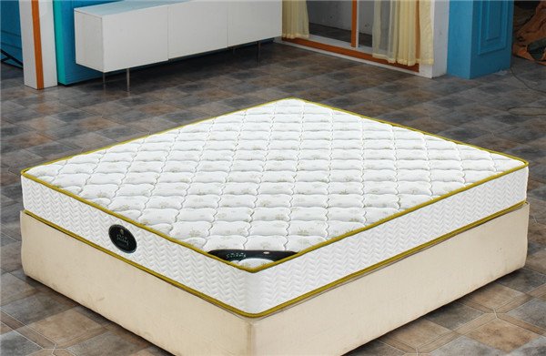 Rayson Mattress-European Size Double Euro Top Pocket Springwell Mattress China the best mattress Who-1