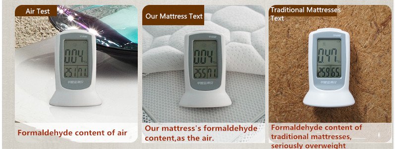 Rayson Mattress-Pocket Spring Sponge Lavender Fabric Crib Pad Top 10 Mattresses Certificated discoun-6