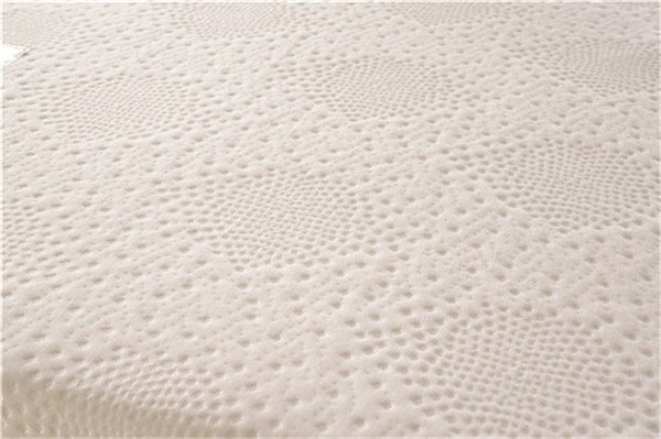 Rayson Mattress-Soft Furniture:Bedroom Furniture Sponge Foam Filler Roller Mattress Topper Customize-3