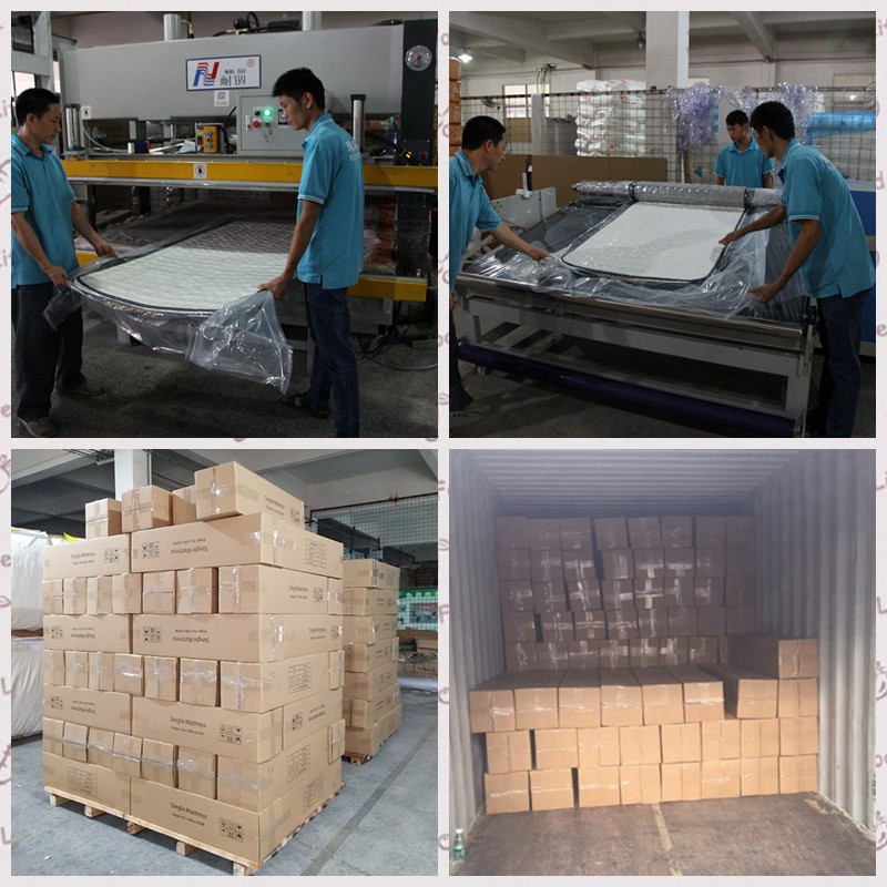 product-Euro top spring bed mattress in a box wholesale in China-Rayson Mattress-img