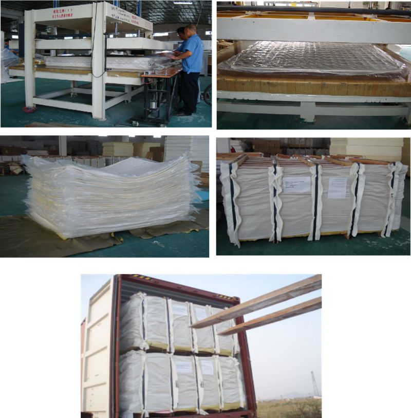 Rayson Mattress-Manufacturer Of Spring Mattress Manufacturer Medium Firm Double Pillow-5