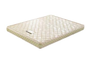 6 inch foam mattress